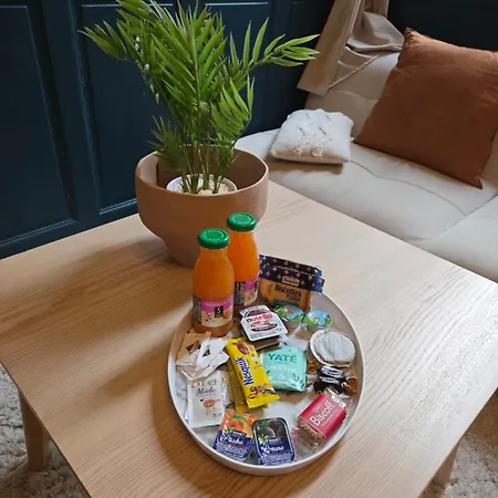 Le Manceau - Entre Centre Et Gare 公寓